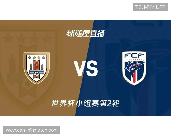 乌拉圭vs佛得角球队身价最新数据，揭示两队在世界杯中的竞争格局